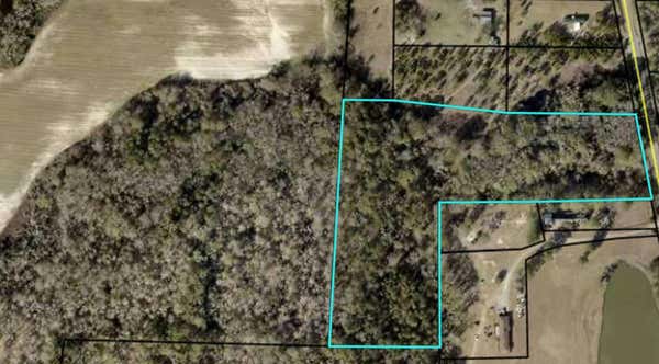 000 S WILLIFORD CROSSING RD, CORDELE, GA 31015 - Image 1