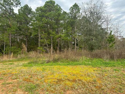 148 PARTRIDGE CIR, LEESBURG, GA 31763, photo 2 of 3