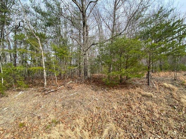 1 AC BARRETT MILL RD, WYTHEVILLE, VA 24382, photo 1 of 9