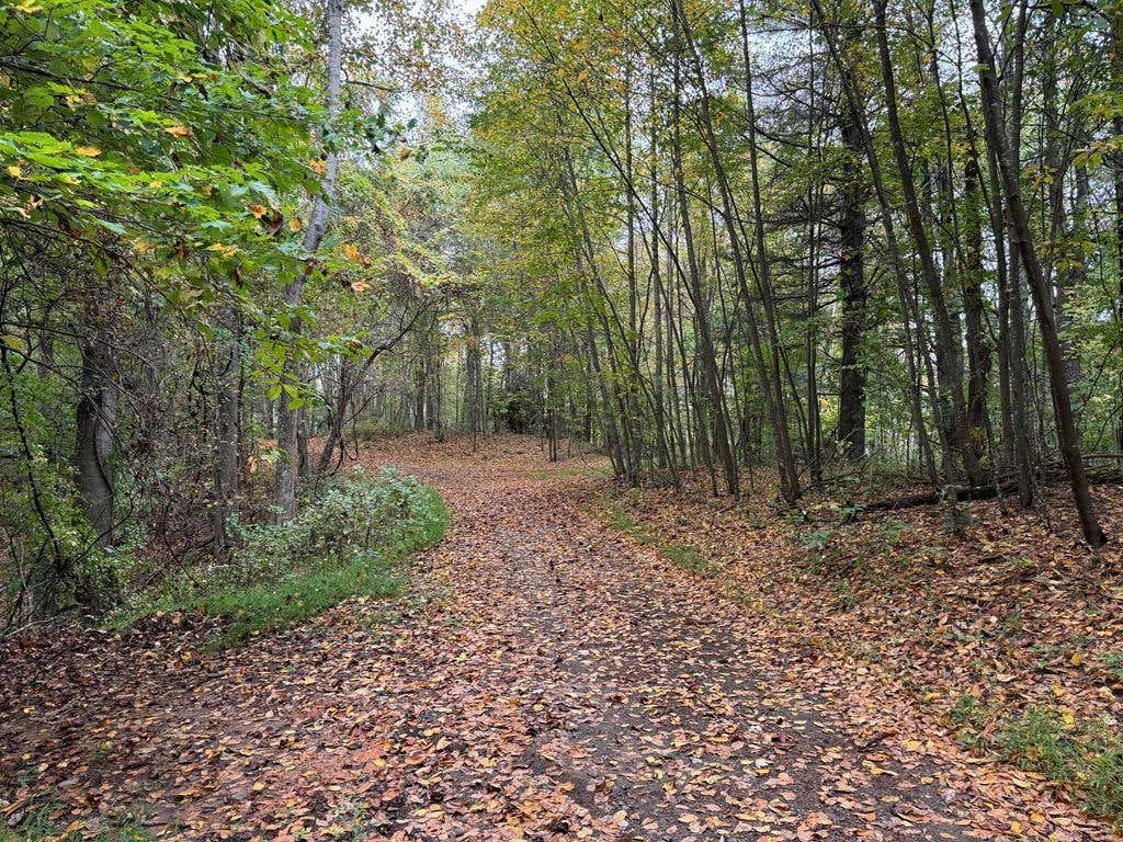 TBD SOAPRIDGE RD., DUGSPUR, VA 24325, photo 1 of 18