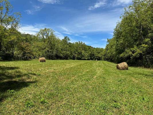 TBD SOUTH FORK RIVER RD., GLADE SPRING, VA 24340, photo 3 of 24