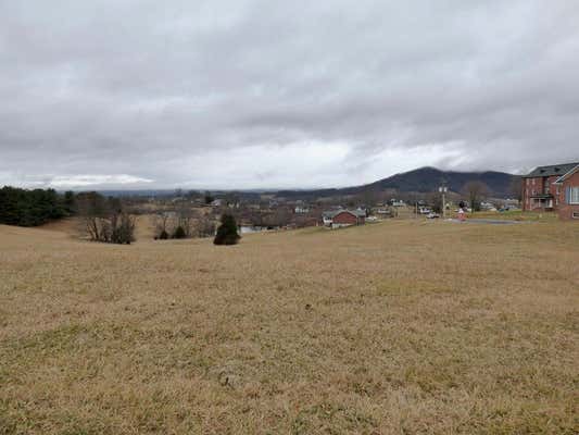 TBD LOT 11 HOLSTON ROAD, WYTHEVILLE, VA 24382, photo 3 of 5