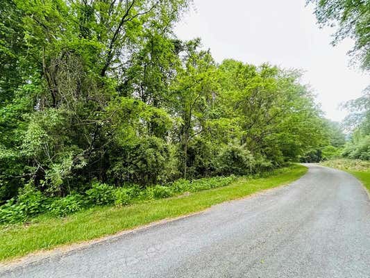 TBD WATERFRONT FARMS LOTS 12 & 13, DRAPER, VA 24149 - Image 1