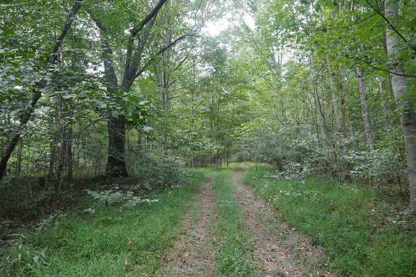 TBD BRYSON COVE ROAD, ABINGDON, VA 24210, photo 3 of 27