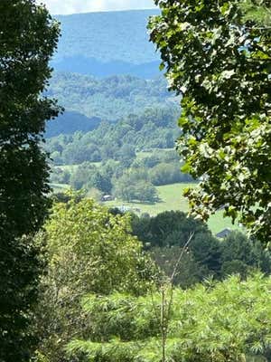 TBD OLD BRIDLE CREEK RD., INDEPENDENCE, VA 24348 - Image 1