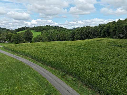 0 TRAIL ROAD, MEADOWS OF DAN, VA 24120, photo 3 of 13