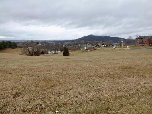 TBD LOT 10 HOLSTON ROAD, WYTHEVILLE, VA 24382 - Image 1