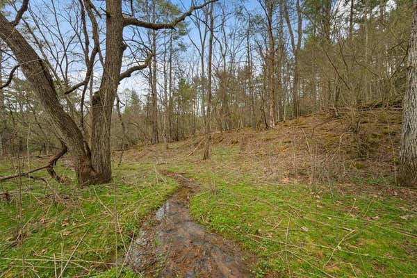 TBD COLE MOUNTAIN RD, HIWASSEE, VA 24347 - Image 1