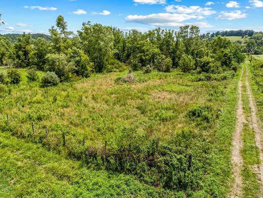 TBD CHISWELL RD., MAX MEADOWS, VA 24360 - Image 1