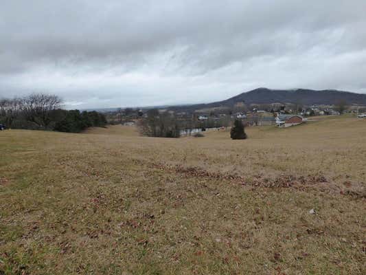 TBD LOT 9 HOLSTON ROAD, WYTHEVILLE, VA 24382 - Image 1