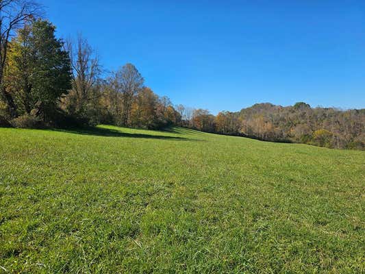 TBD WILDWOOD DRIVE, CEDAR BLUFF, VA 24609 - Image 1