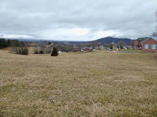 TBD LOT 11 HOLSTON ROAD, WYTHEVILLE, VA 24382 - Image 1