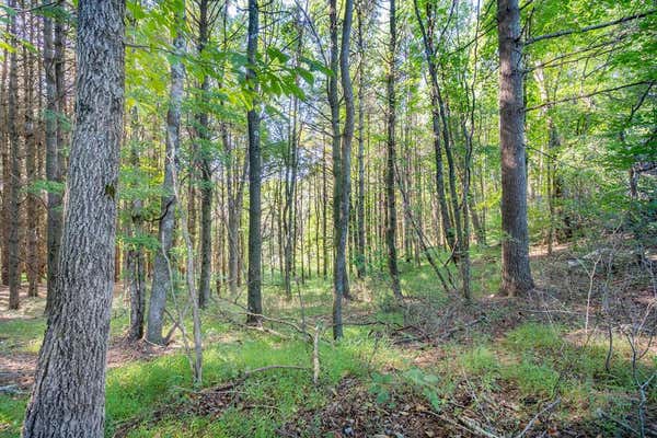 18AC TBD HIGHVIEW LN, FANCY GAP, VA 24328 - Image 1