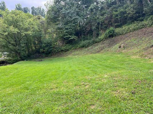 TBD TUNNEL ROAD, HONAKER, VA 24260 - Image 1