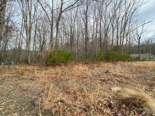 1 AC BARRETT MILL RD, WYTHEVILLE, VA 24382, photo 3 of 9