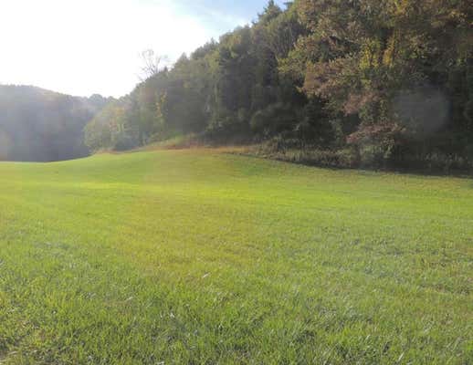 TBD GAMBETTA RD., GALAX, VA 24333 - Image 1