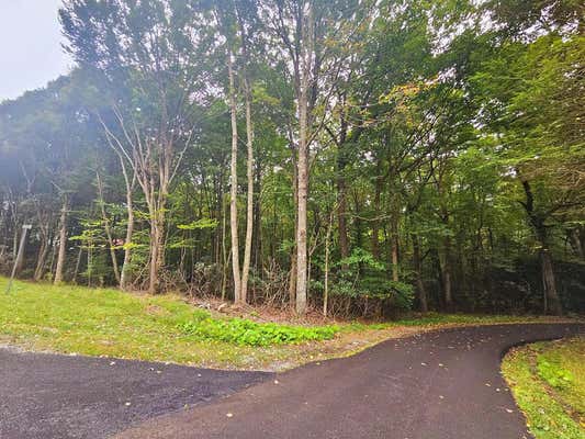 TBD FERNWOOD DR., TAZEWELL, VA 24651 - Image 1