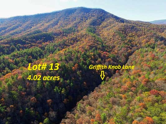 LOT 13 GRIFFITH KNOB LANE, WYTHEVILLE, VA 24382 - Image 1