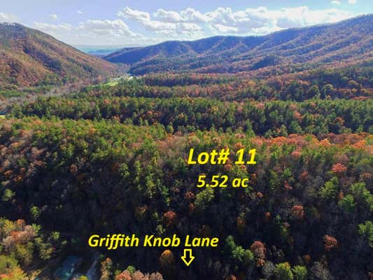 LOT 11 GRIFFITH KNOB LANE, WYTHEVILLE, VA 24382 - Image 1