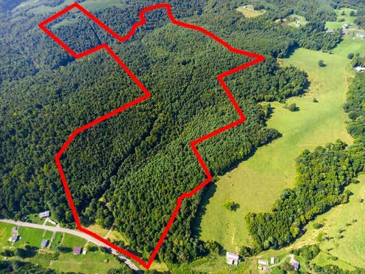 TBD POPLAR CAMP ROAD, HILLSVILLE, VA 24343 - Image 1