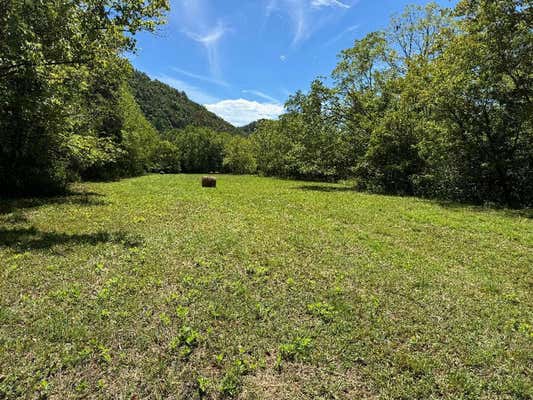 TBD SOUTH FORK RIVER RD., GLADE SPRING, VA 24340, photo 4 of 24