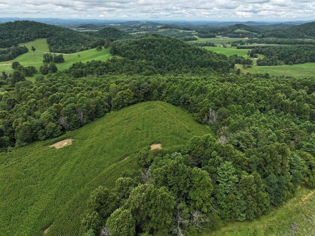 0 TRAIL ROAD, MEADOWS OF DAN, VA 24120, photo 1 of 13