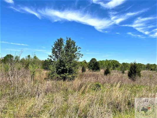 8.102 +/- AC DEERFIELD RD, NEW BOSTON, TX 75570, photo 2 of 6