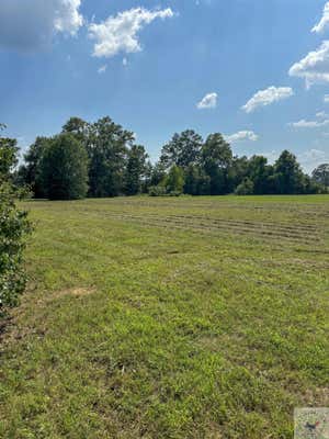 3 +/- AC SATTERFIELD PKWY, NEW BOSTON, TX 75570 - Image 1