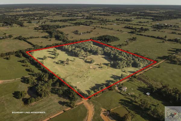 50 +/- ACRES CR 4319, DEKALB, TX 75559 - Image 1