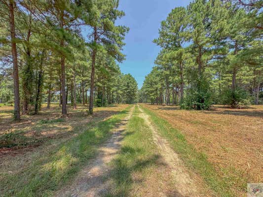 0 MEHAFFEY/ED JACKSON LN, DEKALB, TX 75559 - Image 1