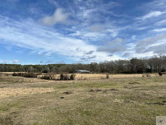 HICKEY RD., HALLSVILLE, TX 75650, photo 2 of 8