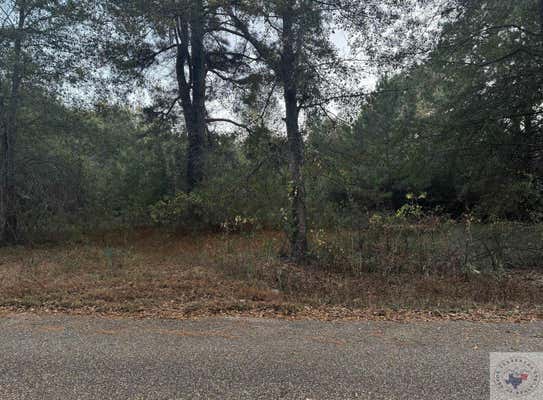 237 PINE VALLEY RD, TEXARKANA, TX 75501 - Image 1