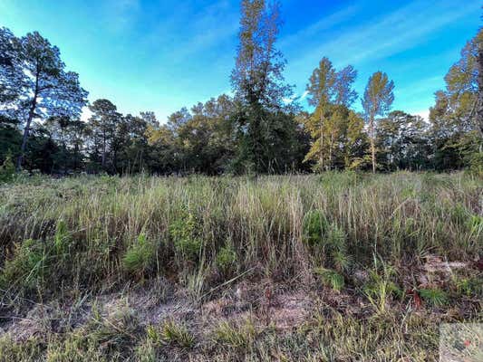 0 LOST ANTLERS, REDWATER, TX 75573 - Image 1