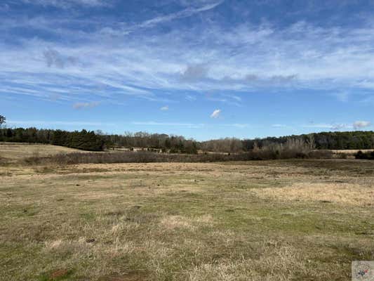 HICKEY RD., HALLSVILLE, TX 75650, photo 3 of 8