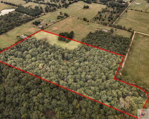 12.5 +/- AC CR 4103, NEW BOSTON, TX 75570 - Image 1