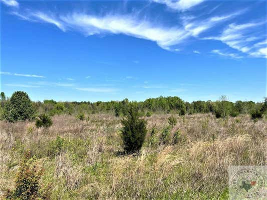 8.102 +/- AC DEERFIELD RD, NEW BOSTON, TX 75570, photo 5 of 6