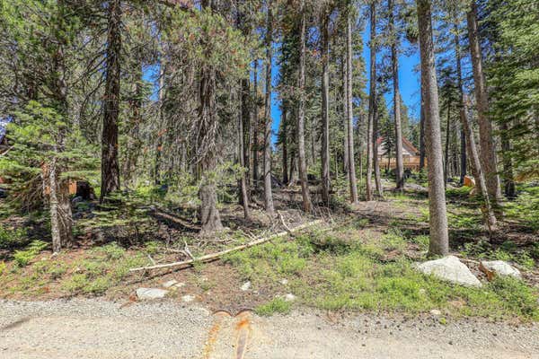 21201 DONNER DR DONNER DRIVE, SODA SPRINGS, CA 95728 - Image 1