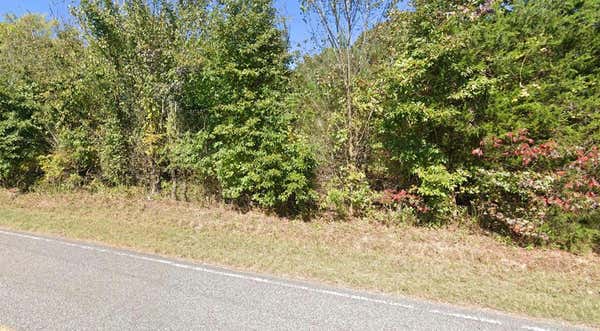 00 BUENA VISTA RD., BUENA VISTA, TN 38344 - Image 1