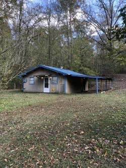 349 BOAT DOCK RD., BIG SANDY, TN 28221 - Image 1