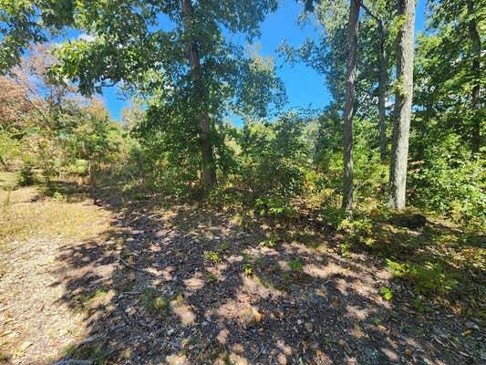 00 WILD ACRES RD, HOLLADAY, TN 38341 - Image 1