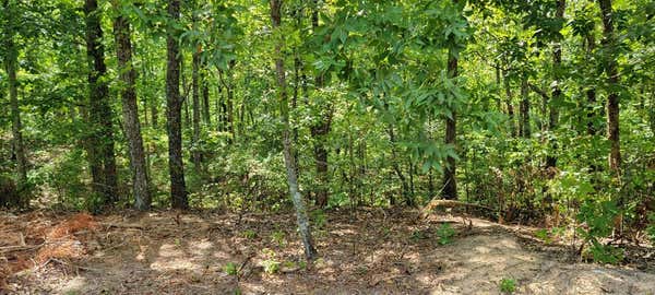 LOT 6 CHINKAPIN RD, HOLLADAY, TN 38341 - Image 1