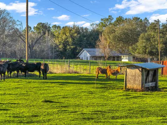 9641 FM 1751, BRONSON, TX 75930, photo 5 of 25