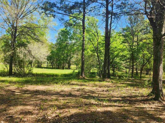 290 COUNTY ROAD 070, JASPER, TX 75951, photo 3 of 18