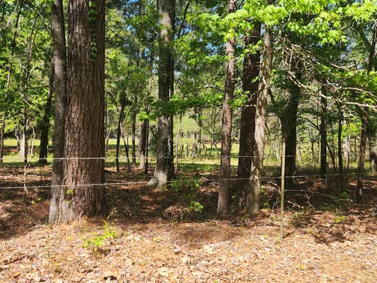 290 COUNTY ROAD 070, JASPER, TX 75951, photo 2 of 18