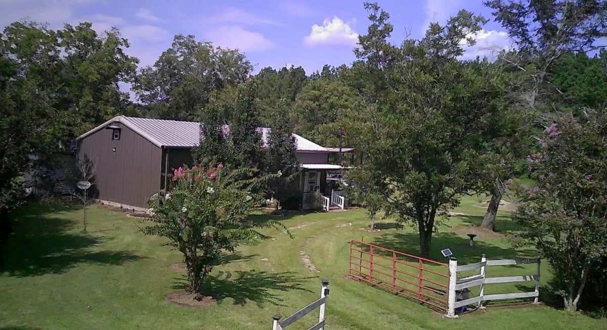 1894 COUNTY ROAD 400, KIRBYVILLE, TX 75956, photo 1 of 25