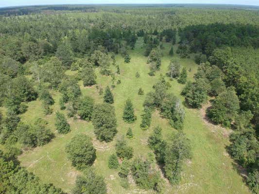 TBD PRIVATE ROAD 8385, HILLISTER, TX 77624 - Image 1