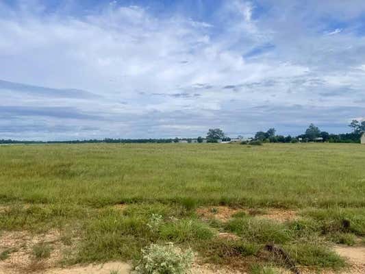 TBD OVERHILL CT LOT 197, HILLISTER, TX 77624, photo 5 of 16