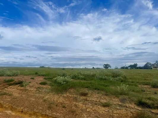 TBD OVERHILL CT LOT 197, HILLISTER, TX 77624, photo 4 of 16