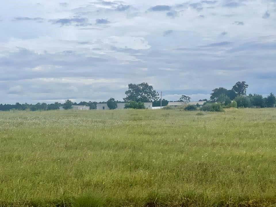 TBD OVERHILL CT LOT 197, HILLISTER, TX 77624, photo 1 of 16