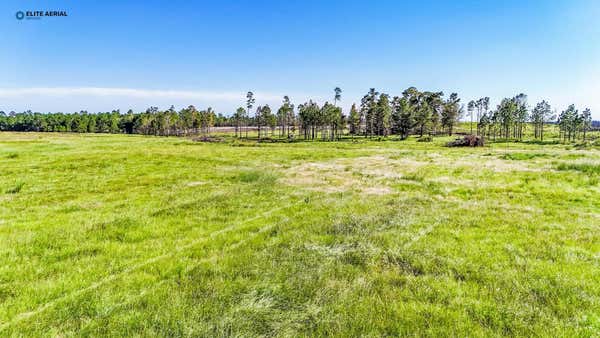 1125 COUNTY ROAD 034, JASPER, TX 75951 - Image 1